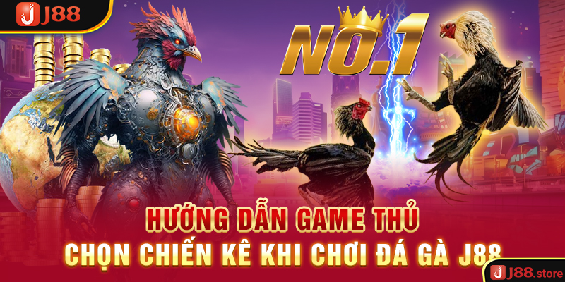 Hướng dẫn game thủ chọn chiến kê khi chơi đá gà J88