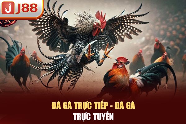 Đá gà trực tiếp, đá gà trực tuyến