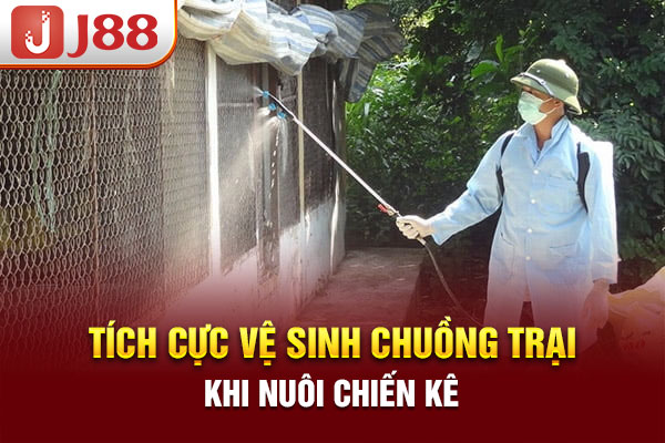 Tích cực vệ sinh chuồng trại khi nuôi chiến kê